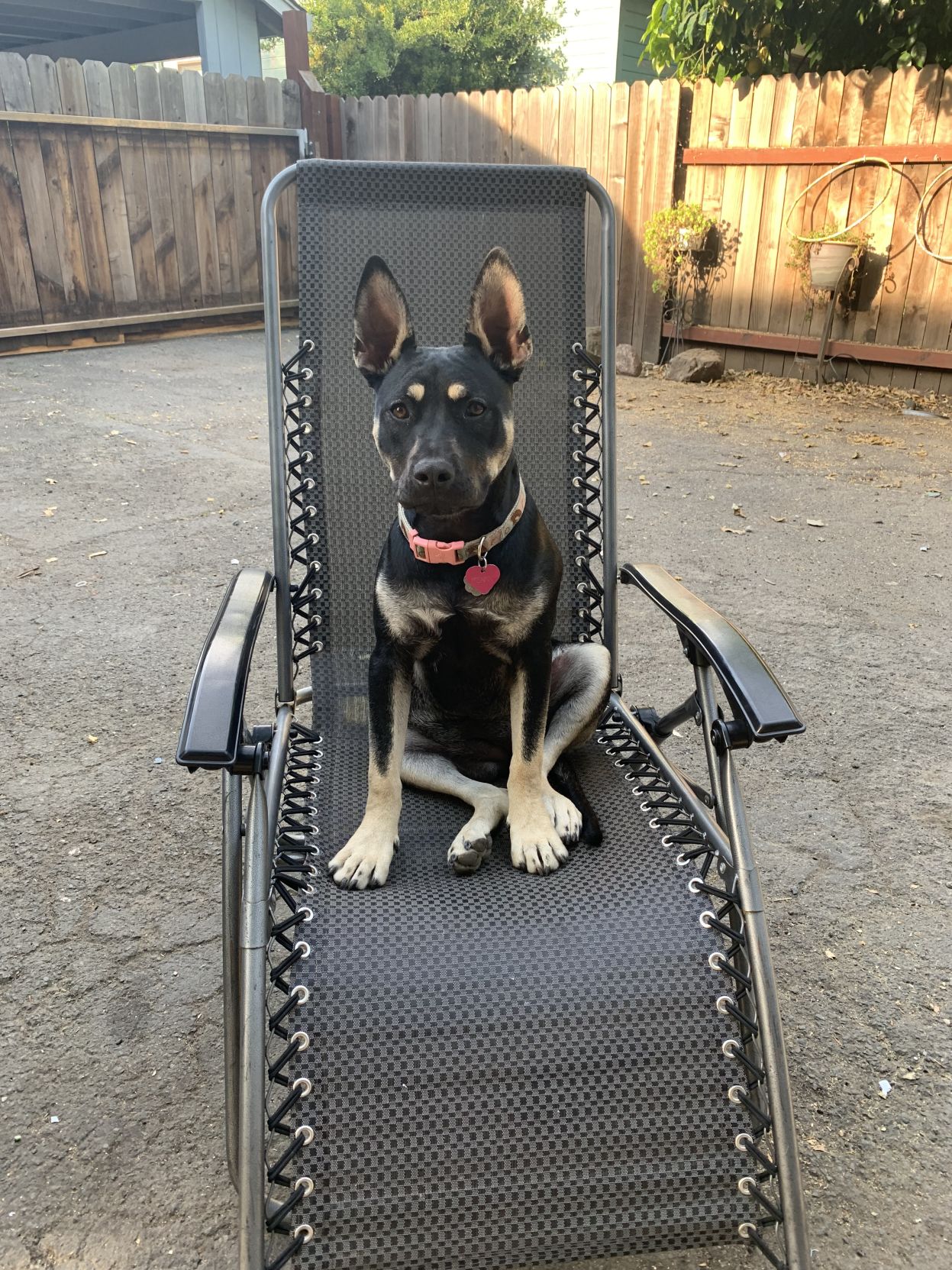 Penny Pablo